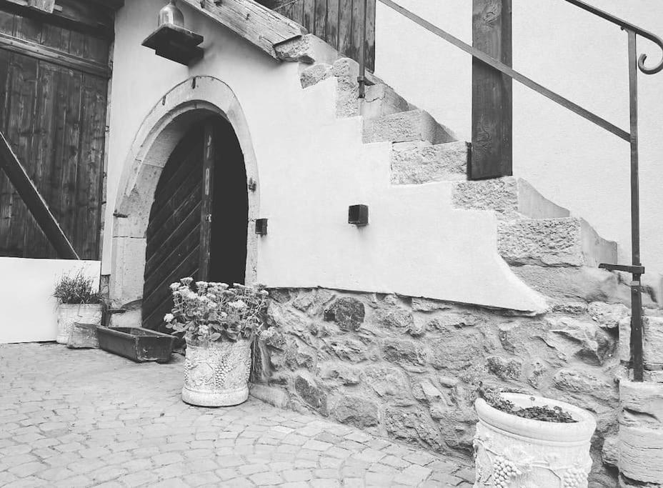 Gite Origin Gueberschwihr Esterno foto