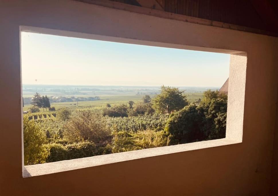 Gite Origin Gueberschwihr Esterno foto