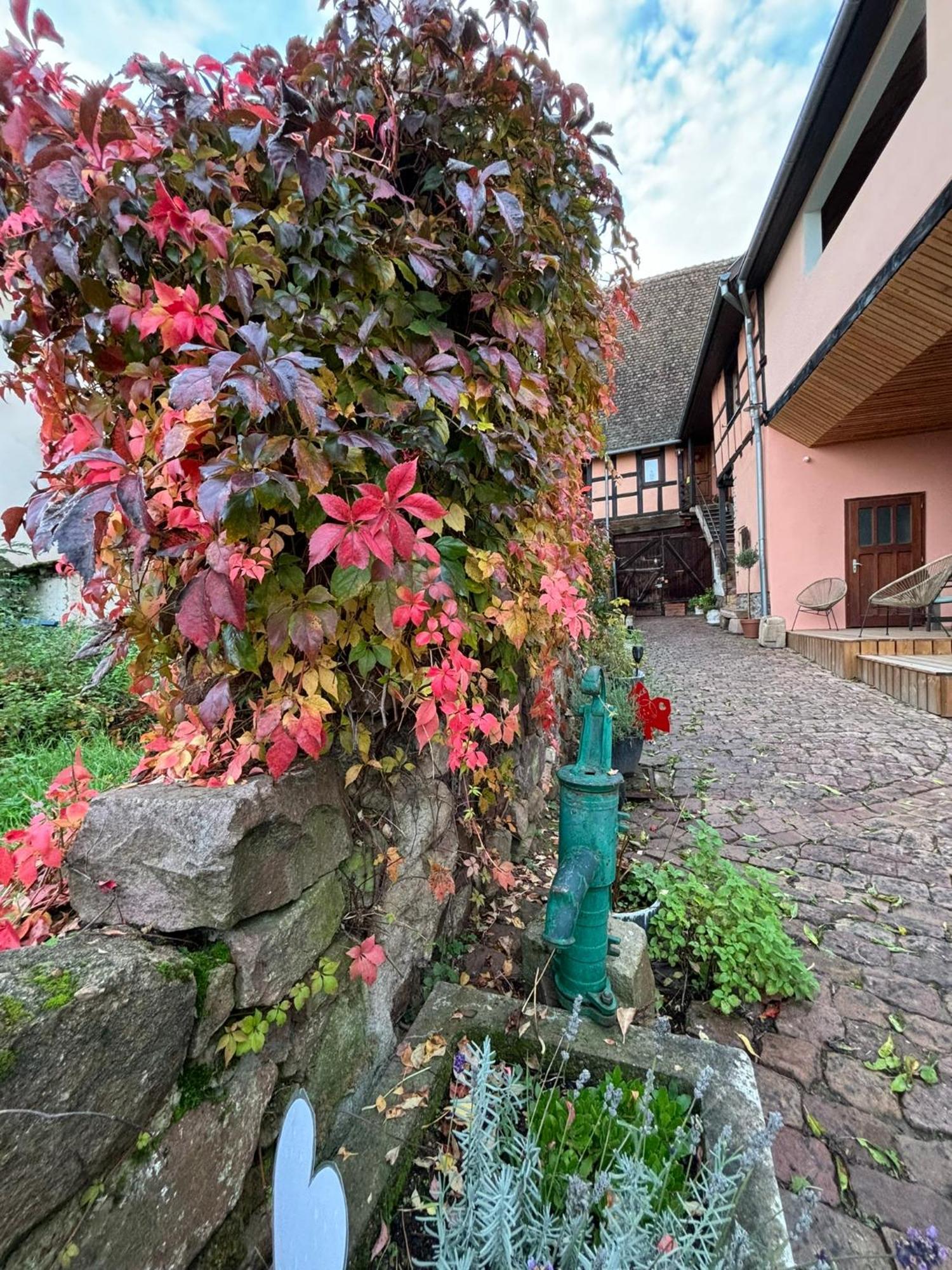 Gite Origin Gueberschwihr Esterno foto